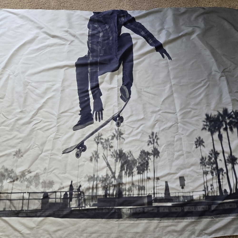Skateboarder Graphic Tapestry